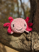 Load image into Gallery viewer, Axolotl