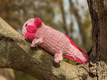 Load image into Gallery viewer, Axolotl