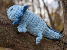 Load image into Gallery viewer, Axolotl